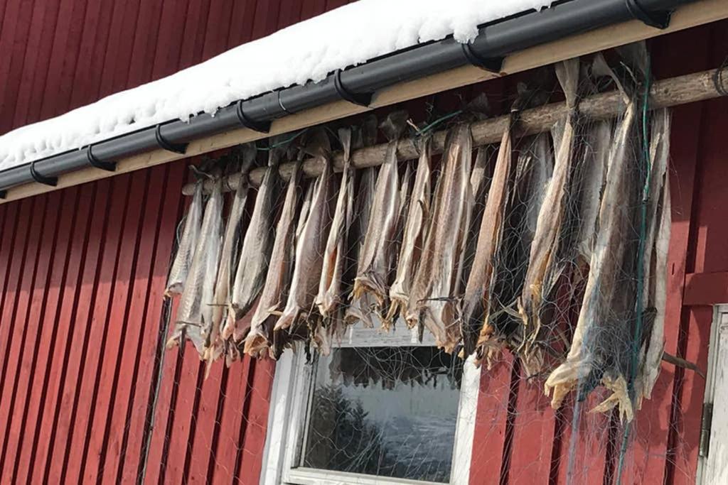 Villa Nordlandshus Ved Lofotr Bostad Exterior foto